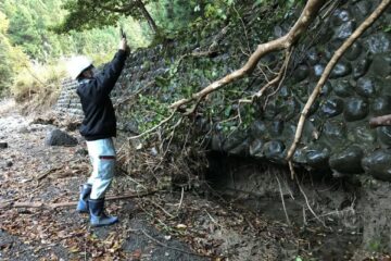 静岡県　写真 調整後